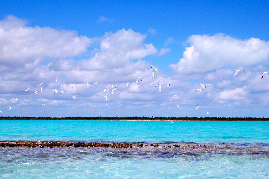 Gulf of Mexico View