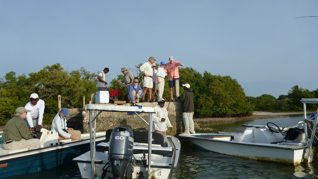 Gulf of Mexico View